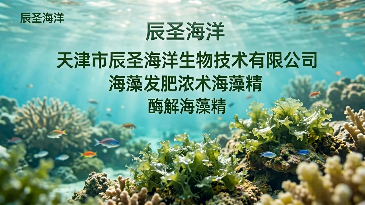 辰圣海洋